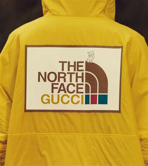 collab gucci north face|north face x gucci logo.